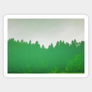 Forest Reflecting In The Calm Water Sticker